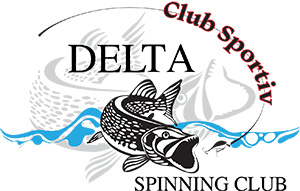 Logo DSC pdf